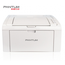 奔图（PANTNM）白色 A4激光打印机/P2506 22ppm A4幅面 1200×1200dpi 手动双面 适用耗材：PD-100 一年保修